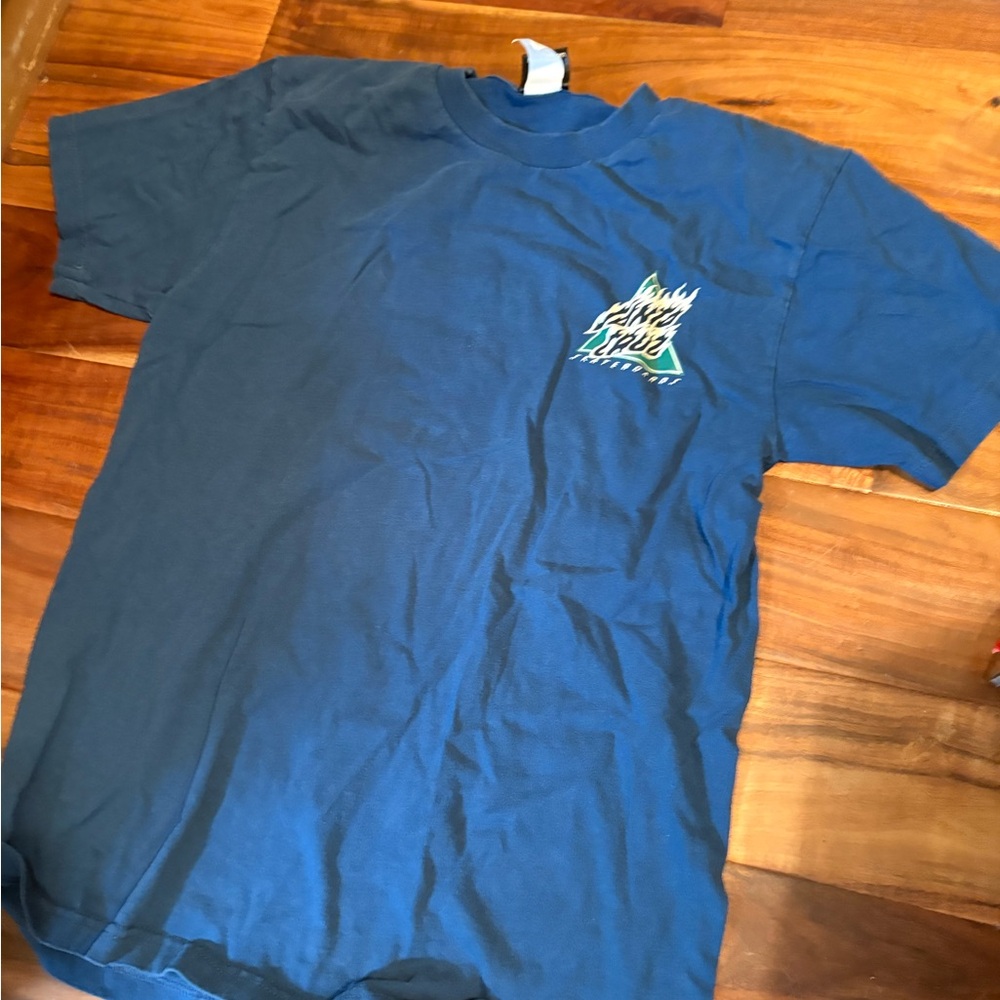 Santa Cruz Blue Short Sleeve Tees with Graphic Design 0130
